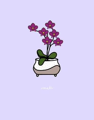 Elyse's Orchids aesthetics art cute design illustration illustrator melmelart painting