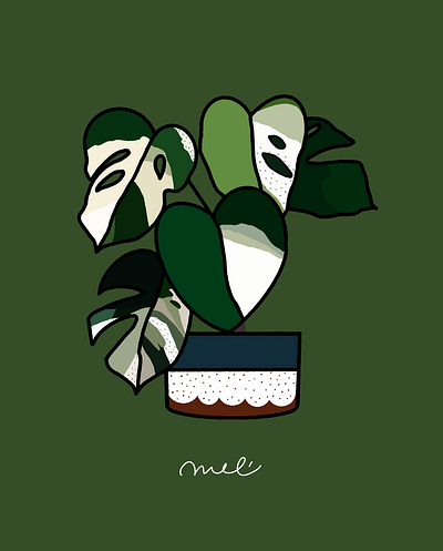 A Close Up of a Variegated Monstera aesthetics art design illustration illustrator melmelart monstera painting plant