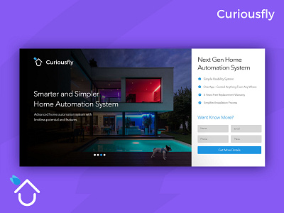 curious fly 01 app responsive ui ux webapp