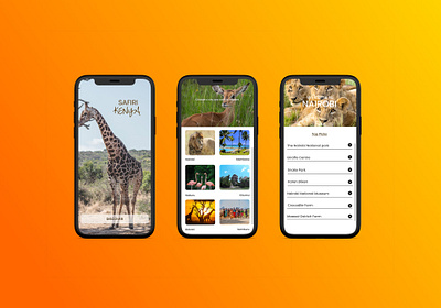 Safiri Kenya Travel App app design design designer figma kenya prototype travel app ui ux design ui design user experience user interface user interface design ux design uxuidesign