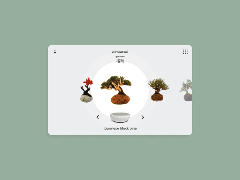 airbonsai adobe xd bonsai japanese mobile design responsive design ui design ux design web design