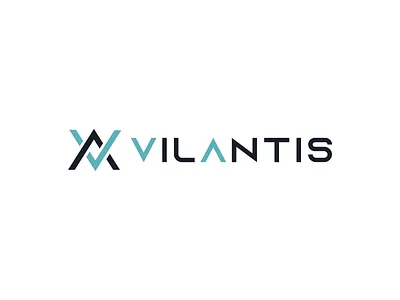 Vilnatis logo design black design black logo creative illustration design line illustration illustration design illustrations illustrator image lettering lines lines design logo logo creative logo design logo illustration logos photoshop simple design vector