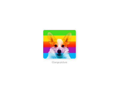 Daily post 88 avatar dog rainbow ui uidaily uidaily88 uidailychallenge uidesign uidesigner uiinspiration