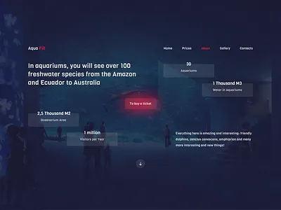 Aqua Fill design ui ux web webdesign website