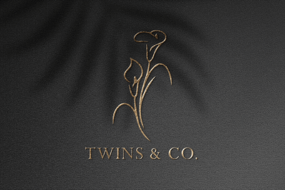 Twins & Co. | Logo Design artworks branding custom design digital graphic illustration logo marketing social media