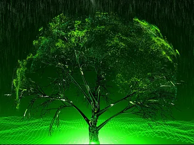 Tree magic concepts magic tree