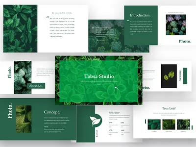 Nature: Powerpoint Presentation nature nature presentation photoshop powerpoint powerpoint presentation template powerpoint template ppt presentation presentation design slide design template