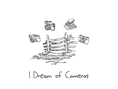 Counting Cameras camera dream fence sheep