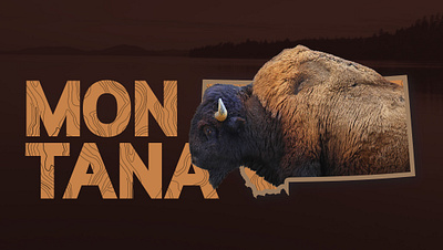 Montana - Bison bison design montana notbuffalo