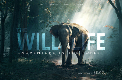 Wild Life photomanipulation photoshop webdesign