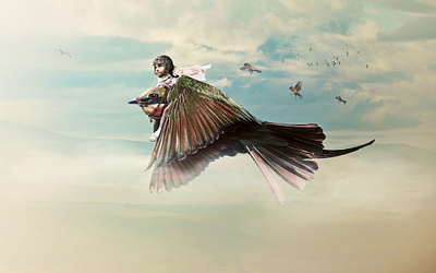 Bird Pilot collage design illustration photomanipulation