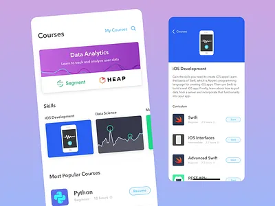 Data Analytics App bright color palette data analytics data management data science data visualization finance fintech heap ios ios apps ios interface layout design mobile app python segment swift ui design user experience user interface ux design