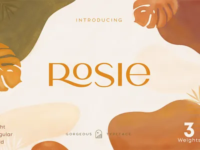 Rosie Sans - Vintage Font branding classic font design display font download font elegant fonts font font design fonts graphic design graphicdesign lettering logo font logo fonts logotype retro font typeface typefaces typography vintage font