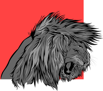 great lion illustration for any logo or t-shirt design big cat bigcat crown lion illustration illustration art illustration design lion hair lion head lion illustration lion logo logo tshirtdesign vector vectorart