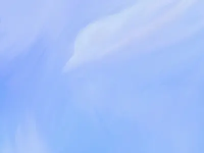 A bird in the clouds bird clouds digital painting illustration paint procreate