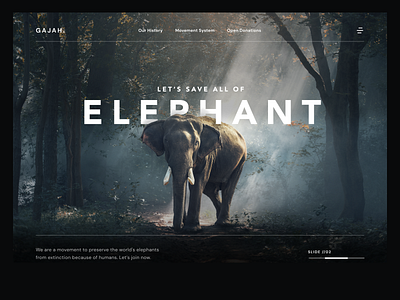 GAJAH - Elephant Rescue Movement animal web charity web clean dark dark web elegant inspiration landing page landing page ui light minimal minimalist simple trend ui user interface web app web design website website design