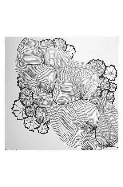 Just lines black and white flowers illustration lines zentangle