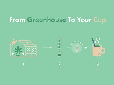 Seed To Sale Infographic brand branding design graphic design illustration infographic logo matt hodin matt hodin design vector