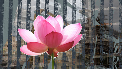 Destruction to Light gray pattern photography vector vector art