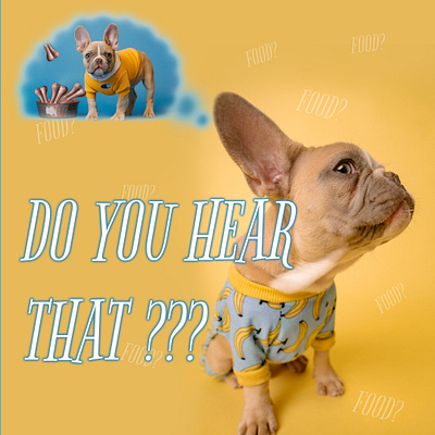 Do you hear that? - Social Media Visual bones colorful design food funny pet food pet shop pet store pet visual social media