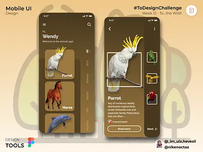 Notion to the wild dribbble animals app design design app figma ui uidesign uiinspiration uiux user interface design ux ux design ux designer