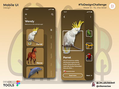 Notion to the wild dribbble animals app design design app figma ui uidesign uiinspiration uiux user interface design ux ux design ux designer