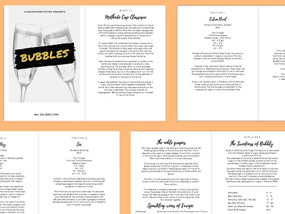 Bubbles Booklet booklet booklets design