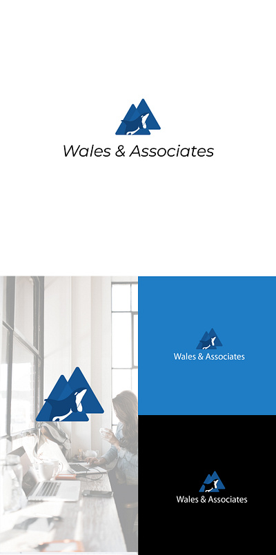 Wales Associates art branding design flat graphic design icon illustration illustrator logo vector