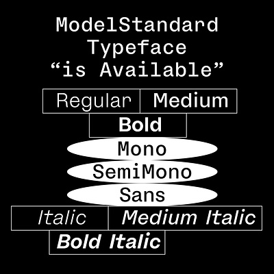 ModelStandard Typeface font fontfamily graphic pizzatypefaces specimen typeface variablefont