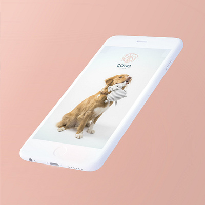 Cane Natura - Social Media brand identity branding canine training dog dog brand instagram instagram stories logo logo design mobile social media