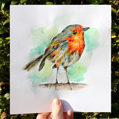 Rosy Robin bird bird logo creativity design gouache graphicdesign illustration nature photography robin texture watercolor watercolour illustration wildlife