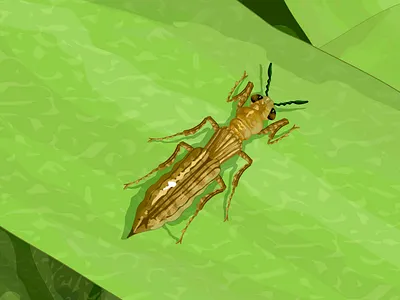 Trips design digital ink diseño green illustration krotalon natural nature plant