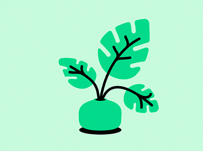 Plant ecommerce ecommerce design illustration plant