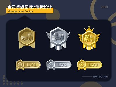 陪搬会员等级图标/角标设计 icon ui