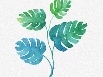 Watercolor House Plants Clipart designs digital illustration garden green gogivo graphics house plants clipart house plants clipart illustration indoor plants plants and leaves png clipart scrapbooking sublimation watercolor watercolor clipart watercolor painting