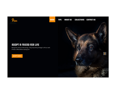 PAWS WEBSITE DESIGN animation app branding design illustration logo typography ux web website