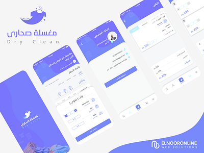 Dry Clean branding design graphic design illustration logo typography ui ux web website