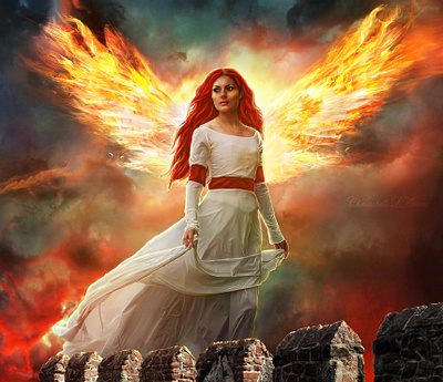 Wings bookcoverdesign design digitalart fantasyart illustration photoart photomanipulation