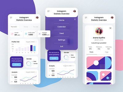 Instagram Statistic Overview App app branding design dribble dribble shot instagram mobile statistics ui uiux web design webdesign
