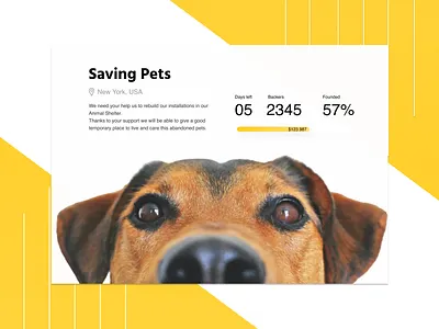 Crowdfunding Campaign 032 animal animalshelter crowdfunding crowdfunding campaign dailyui dailyuichallenge design design app dog ngo non profit nonprofit ui ux