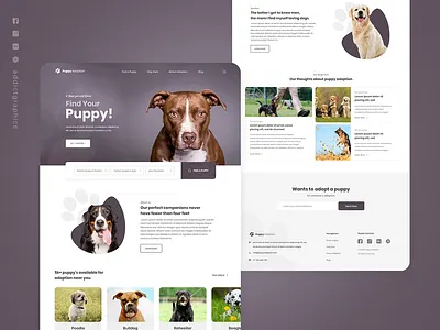 Pet Adoption - Landing Page Exploration addict graphics addictgraphics branding design graphicdesign typography ui user experience user interface ux