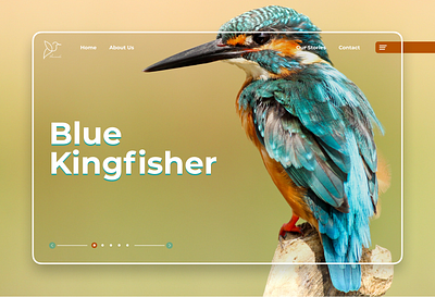 Humming Bird UI Design