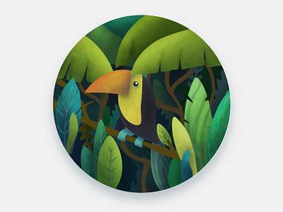 Rainforest toucan illustration affinity designer botanic forest forest animals green illustration photoshop plants rainforest toucan trees