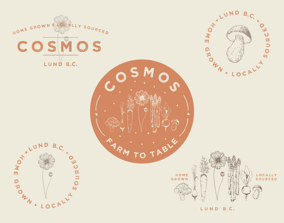 Cosmos - Farm To Table antique branding burnt orange cosmos desert design farm to table floral home grown illustration logo mushroom natural pnw space stars vegetables vintage