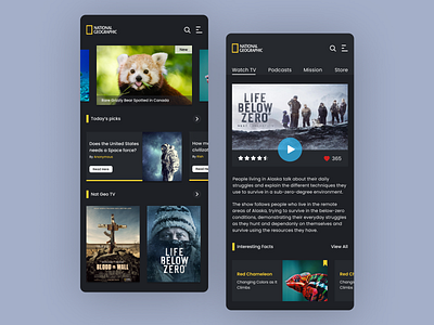 Nat Geo UI Design Concept | Rish Designs adobe xd android app bear best design best designer dailyui dark app dark mode dark ui discovery figma movie app nat geo nature rish designs space ui uidesign ux