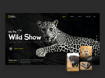 National Geographic Website Hero Banner 2020 trends art artwork black blue brand branding design concept creative dailyui dailyuichallenge hero banner hero image ui ux web design website website concept