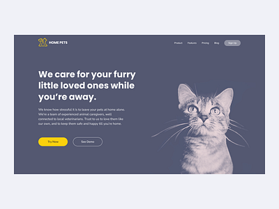 HOME PETS WEBSITE cat design figma pets pets website ui ux webdesign website