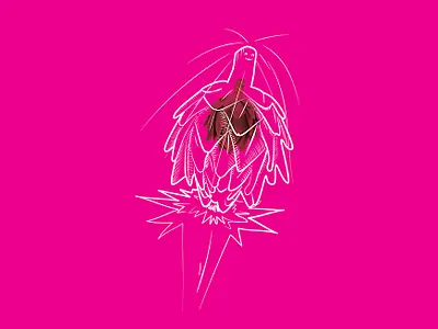 Supersonic artichoke artichoke artwork drawing fun illustration sonic