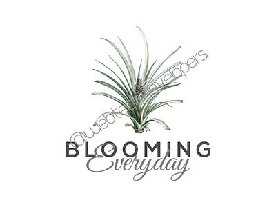 Logo branding design logo ui ux