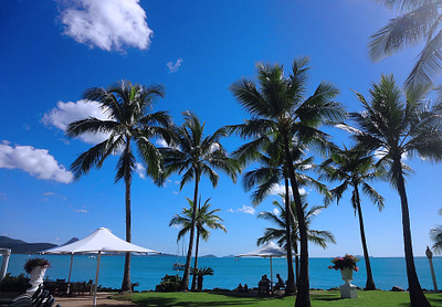 All About Airlie Beach — Eat, Drink, Dive, Shop islands yachts